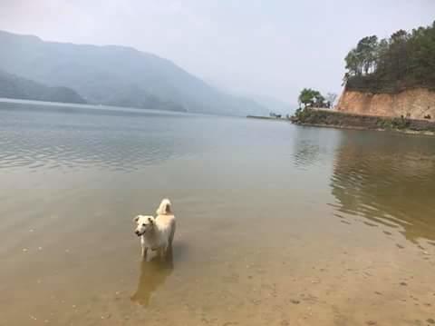 The Tranqulity Inn Pokhara Zewnętrze zdjęcie